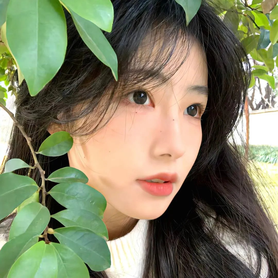 摇摇欲坠