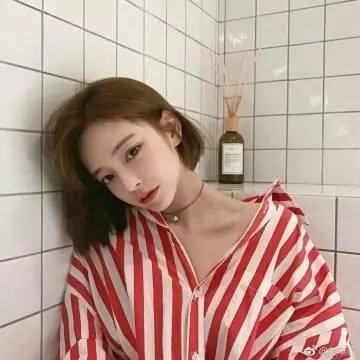 龙年档案